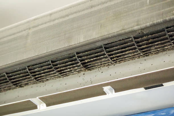 Best Best Air Duct Cleaning Company  in Bassett, VA